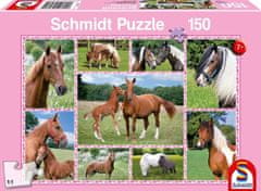 Schmidt Puzzle Gyönyörű lovak 150 db