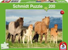 Schmidt Lócsorda puzzle 200 darab