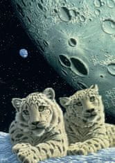 Grafika Puzzle Snow Leopards' Den 2000 db