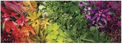 Galison Panoráma puzzle Növények élete 1000 db