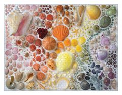 Galison Puzzle Rainbow kagylókból 2000 db