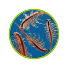 HOBBY aquaristic HOBBY Artemia breeder - tenyésztőtál