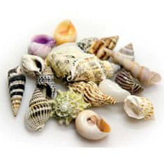 HOBBY aquaristic HOBBY Sea Shells Set S 20db - dekoráció akváriumba