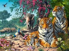 Castorland Puzzle Tiger Sanctuary 3000 db
