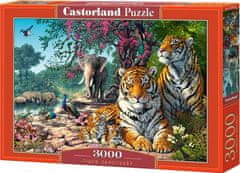 Castorland Puzzle Tiger Sanctuary 3000 db