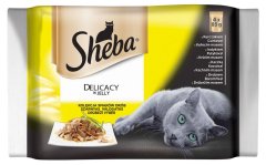 Sheba DELICACY Alutasakos macskaeledel válogatás, 13 x (4x85g)