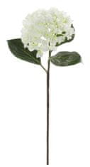 Shishi Hortenzia fehér, 70 cm