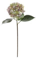 Shishi Hortenzia lilás-zöld, 70 cm