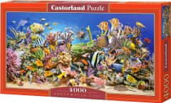 Castorland Puzzle Víz alatti élet 4000 darab