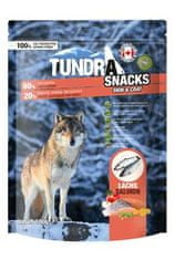 Tundra kutya snack Lazac Skin & Coat 100g