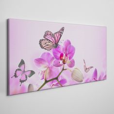 COLORAY.HU Vászonkép Virágok természet pillangó 100x50 cm