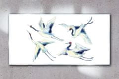 COLORAY.HU Üvegkép A madarak absztrakciója 120x60 cm