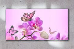 COLORAY.HU Üvegkép Virágok természet pillangó 100x50 cm