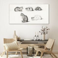 COLORAY.HU Üvegkép A macskaállatok rajza 120x60 cm