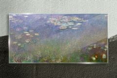 COLORAY.HU Üvegkép Víz liliomok érmék 120x60 cm