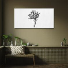 COLORAY.HU Üvegkép Virágok rajzolása 100x50 cm