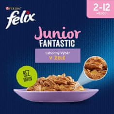 Felix Fantastic Junior csirkehússal és lazacszalettel, zselében 12(4x85g)