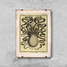 Vintage Posteria Poszter Octopus haeckel ernst A4 - 21x29,7 cm