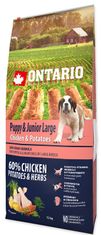 Ontario Puppy & Junior Large Chicken & Potatoes Száraz kutyatáp, 12 kg