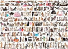 EuroGraphics Rejtvény macskák világa 1000 db