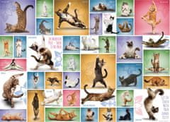 EuroGraphics Puzzle Cat jóga 1000 db