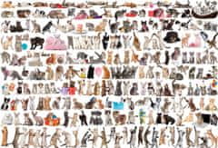 EuroGraphics Rejtvény macskák világa 2000 darab