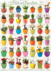 EuroGraphics Puzzle kaktuszok és pozsgások 1000 db