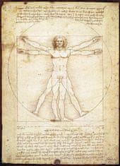 EuroGraphics Puzzle Vitruvius man - az emberi alak arányai 1000 darab