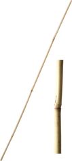 Bambusz rúd 61 cm vastagság 6-8 mm - 10 db