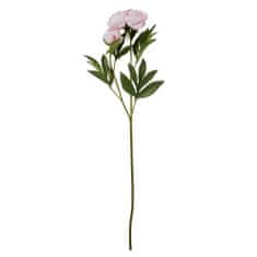 Lene Bjerre Bazsarózsa (Paeonia) rózsaszín bimbóval, 85 cm