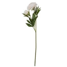Lene Bjerre Bazsarózsa (Paeonia) fehér bimbóval, 85 cm
