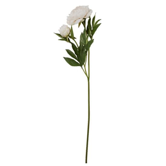 Lene Bjerre Bazsarózsa (Paeonia) fehér bimbóval, 85 cm
