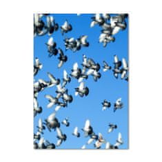 Wallmuralia.hu Akril üveg kép A galambok az égen 70x140 cm