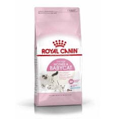Royal Canin FHN MOTHER & BABYCAT 2kg vemhes vagy szoptató macskáknak és kölyök macskáknak