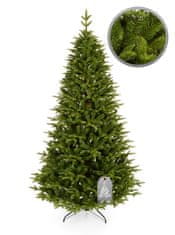 Karácsonyfa Kaukázusi jegenyefenyő 180 cm