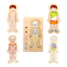 Legler Kis lábas fa játékok Anatómia Puzzle Tim