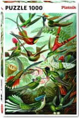 Piatnik Haeckel - Kolibris, 1000 darab