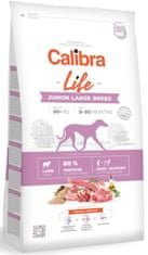 Calibra Dog Life Junior Junior nagytestű bárány 2,5 kg