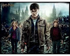 Harry Potter 3D puzzle - Harry, Hermione, Ron 500 darab