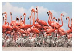 DINO Puzzle Flamingók 500 darab
