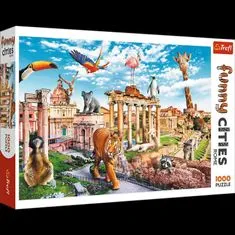 Trefl Puzzle Vicces városok - Vad Róma, Vicces városok / 1000 darab
