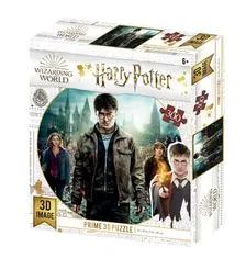 Harry Potter 3D puzzle - Harry, Hermione és Ron 300 darab