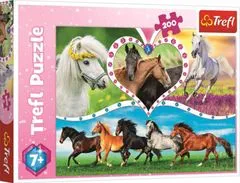 Trefl Puzzle Gyönyörű lovak / 200 darab