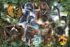 Trefl Puzzle Jurassic World: Domination 300 db