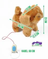 Kruzzel ISO interaktív sétáló kutya