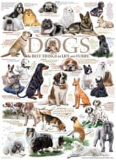 Cobble Hill Puzzle Dog jelentések 1000 darab