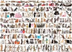 EuroGraphics Puzzle Macskák világa 1000 darab