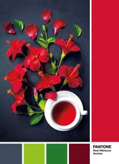 Clementoni Pantone Puzzle: Aroma of Red Hibiscus 1000 darab