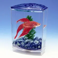 PENN PLAX Műanyag akvárium BETTA 10x10x15cm+növény+kavics sziámi harcoshalaknak