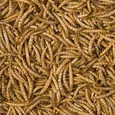TROPICAL Meal worms 100ml/13g természetes eledel hüllőknek